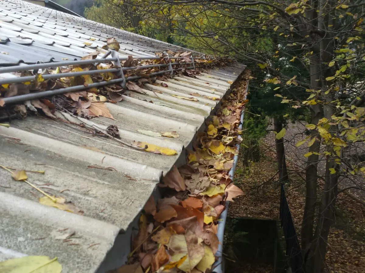 Jgheab cu mult frunziș de toamnă, curățarea jgheaburilor înfundate